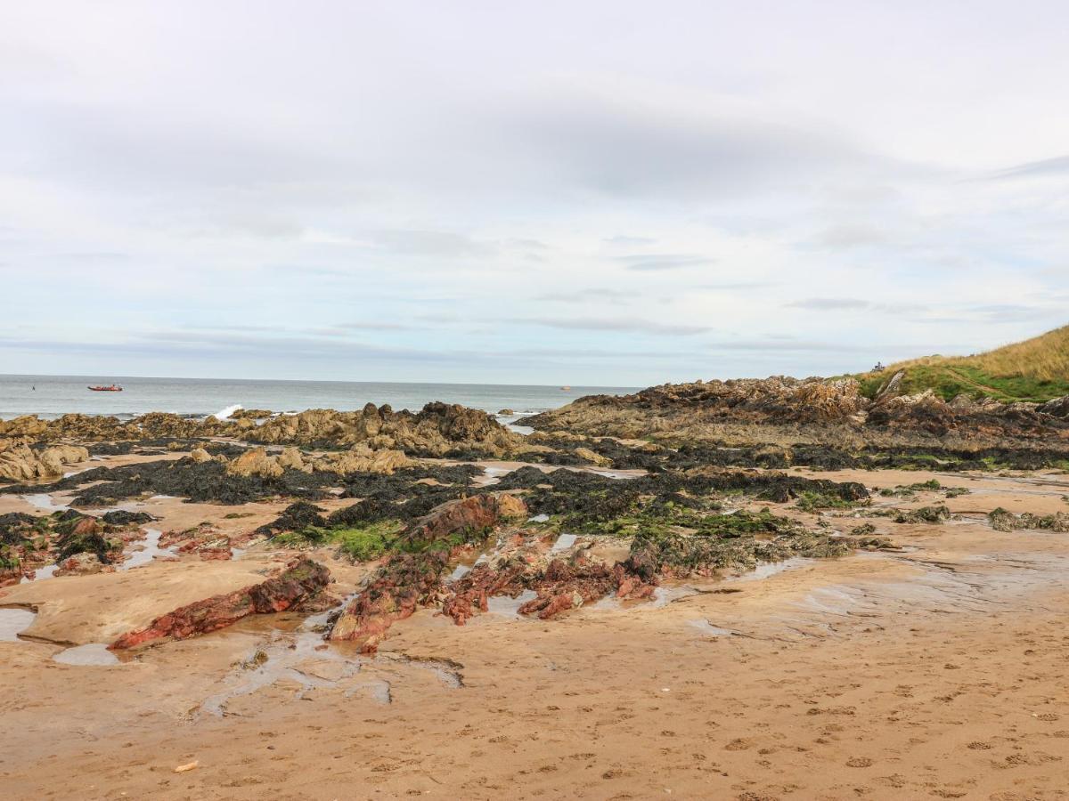 Meadow Lodge Coldingham 외부 사진
