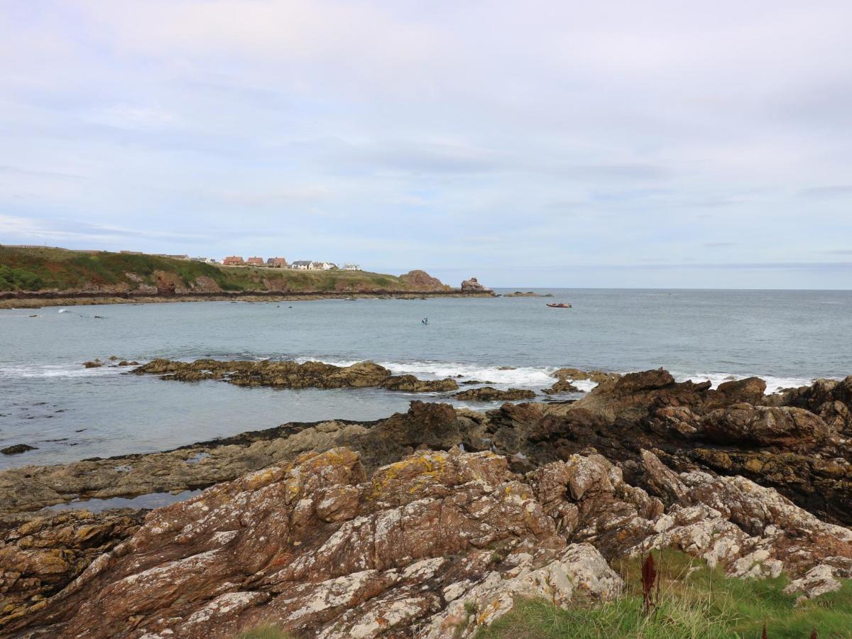 Meadow Lodge Coldingham 외부 사진