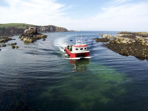 Meadow Lodge Coldingham 외부 사진
